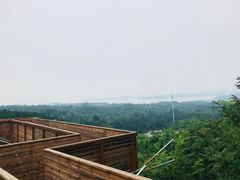 景点-欢乐松鼠谷