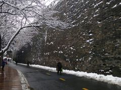 -紫金山天文台