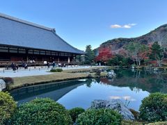 -西芳寺(苔寺)
