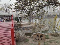 -天津水上公园