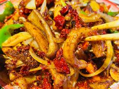 -柴窝堡22号辣子鸡·传承新疆菜