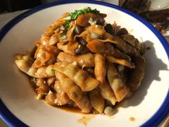 -食家鸽园