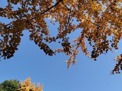 -后襄河公园