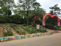 -松山湖梦幻百花洲