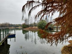 -尚贤河湿地