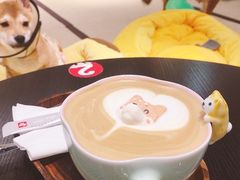 -逗柴咖啡屋·狗咖猫咖宠物桌游