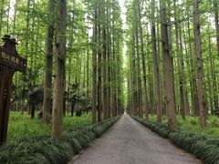-上海怡沁园度假酒店