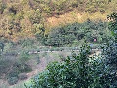 -桃花岭景区
