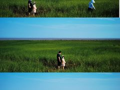 -南汇嘴观海公园