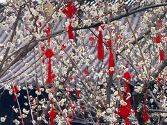 -钱王祠