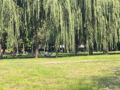 -东坝千亩湖公园