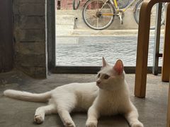 -VOYAGE COFFEE(杨梅竹店)