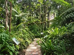 -中国科学院西双版纳热带植物园