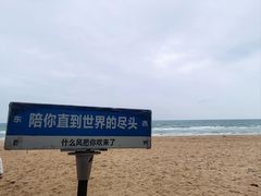 -贝壳沙滩
