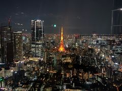 -六本木新城展望台(东京城市景观)