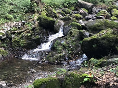 -本溪汤沟绿石谷森林公园