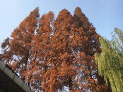 -南京航空航天大学(明故宫校区)