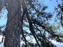 -终南山南五台景区