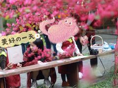 -杭州龙井幼儿园