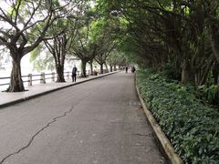 -大湾区中央湿地公园