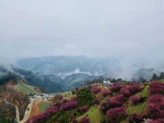 -石潭村