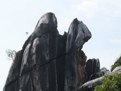 -玉石林风景区