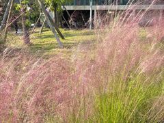 -三圣花乡旅游区