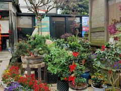 -天怡·鱼工厂(临江店)