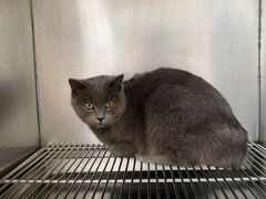 -狗舍宠物医院(四季商业广场店)