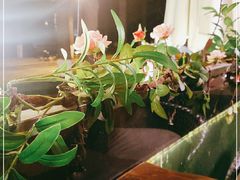 -翠湖湾海鲜音乐餐厅