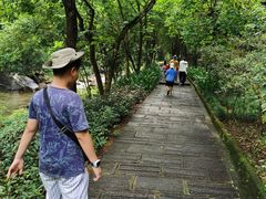 -广州白江湖森林公园