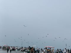 -东港音乐喷泉广场