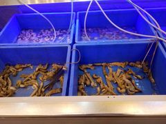 -李氏圣鲸大型自助餐