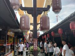 -茯茶镇