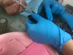 -北京观赏动物医院·24小时大型综合·猫专科·异宠专科