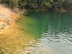 -广州市流溪河国家森林公园