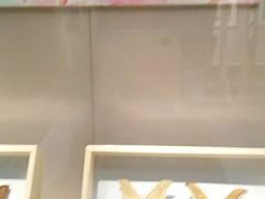 -台州博物馆