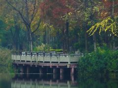 -重庆彩云湖湿地公园