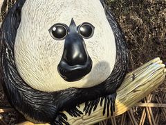 -ZOO COFFEE动物园咖啡(红山森林动物园店)