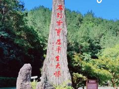 -溪口-滕头旅游景区