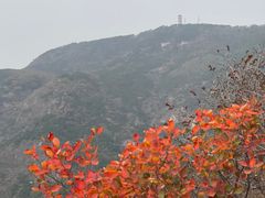-北京十三陵国家森林公园蟒山景区