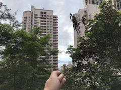 -香港大学
