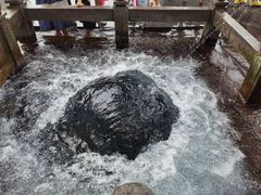 -百脉泉景区