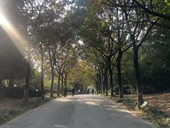 -白塘生态植物园