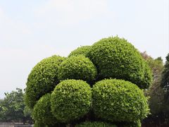 -建水文庙