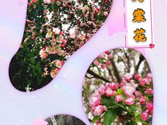 -陶然亭公园