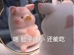 -十三式重庆江湖菜(金茂览秀城店)