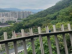 -福道