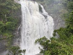 -海南热带雨林国家公园吊罗山景区