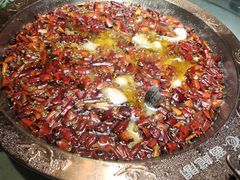 -雲蜀龙阁·金牌水煮鱼(方庄店)